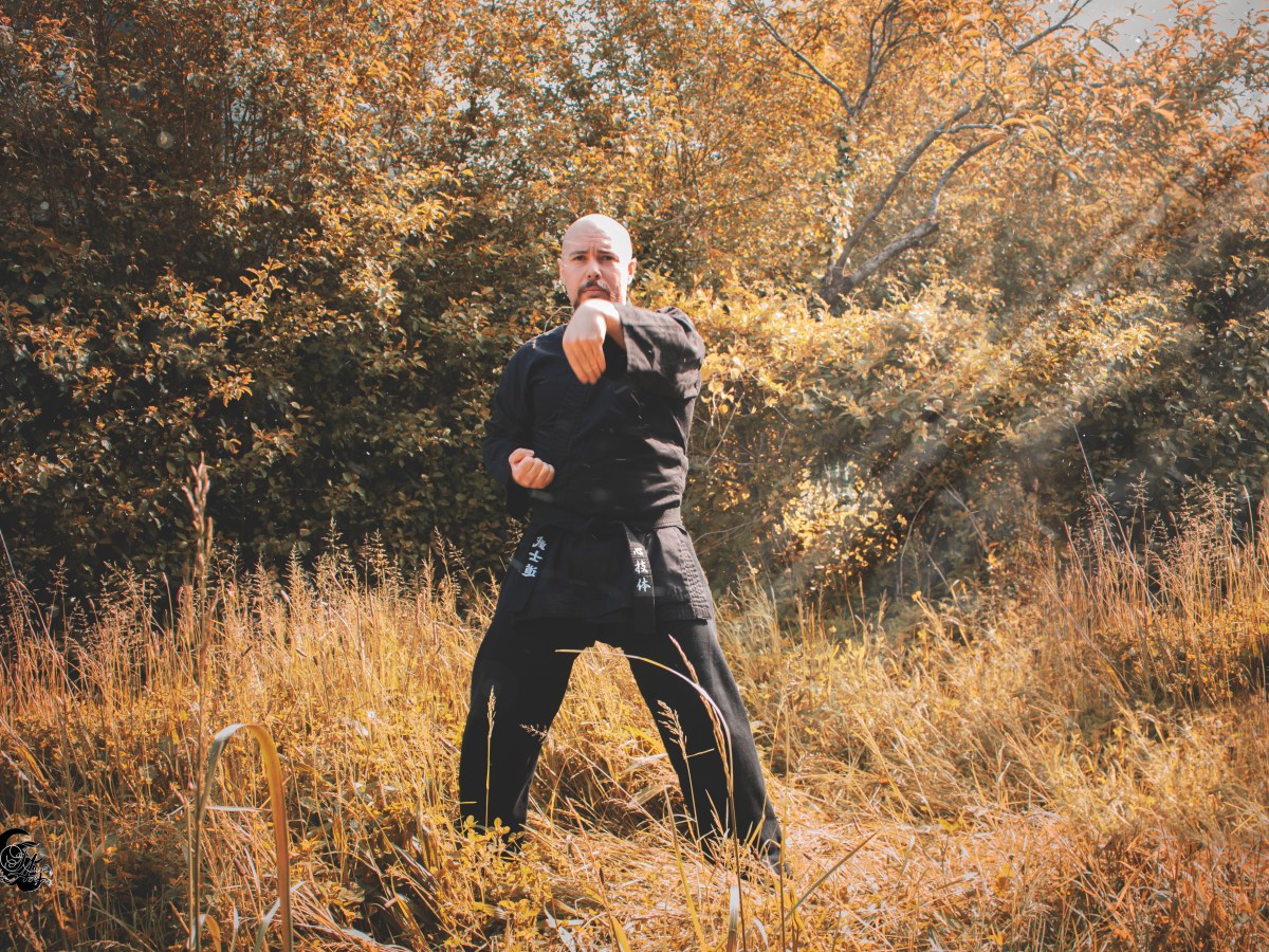 Brève histoire du&nbsp;karaté